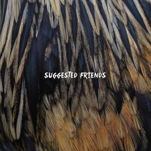 Suggested Friends album artwork