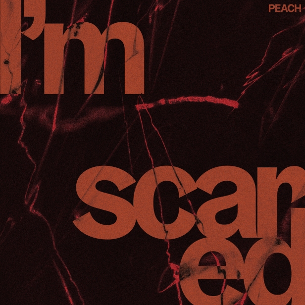 The cover of I'm Scared by Peach
